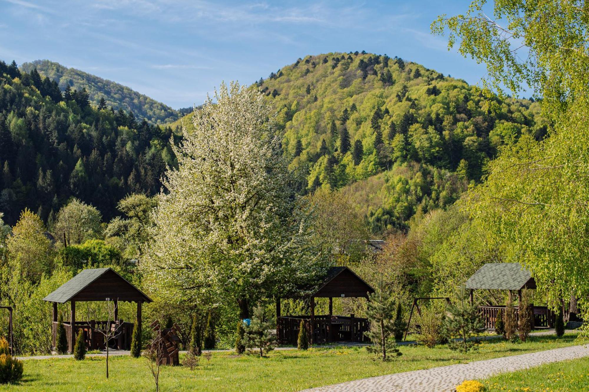 Рибничанка Hotel Skhidnytsia Kültér fotó