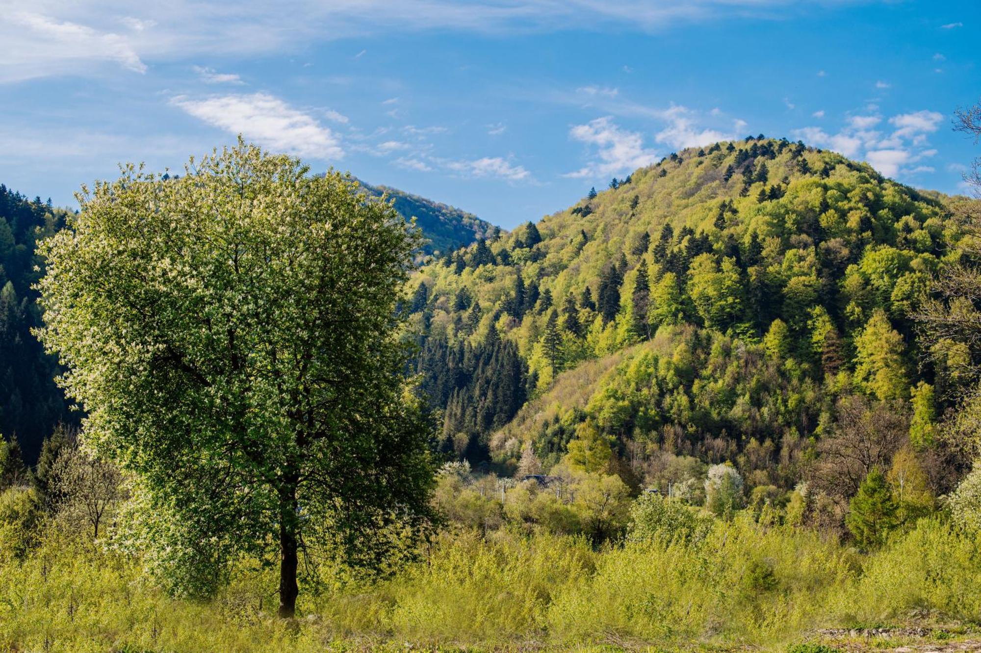 Рибничанка Hotel Skhidnytsia Kültér fotó